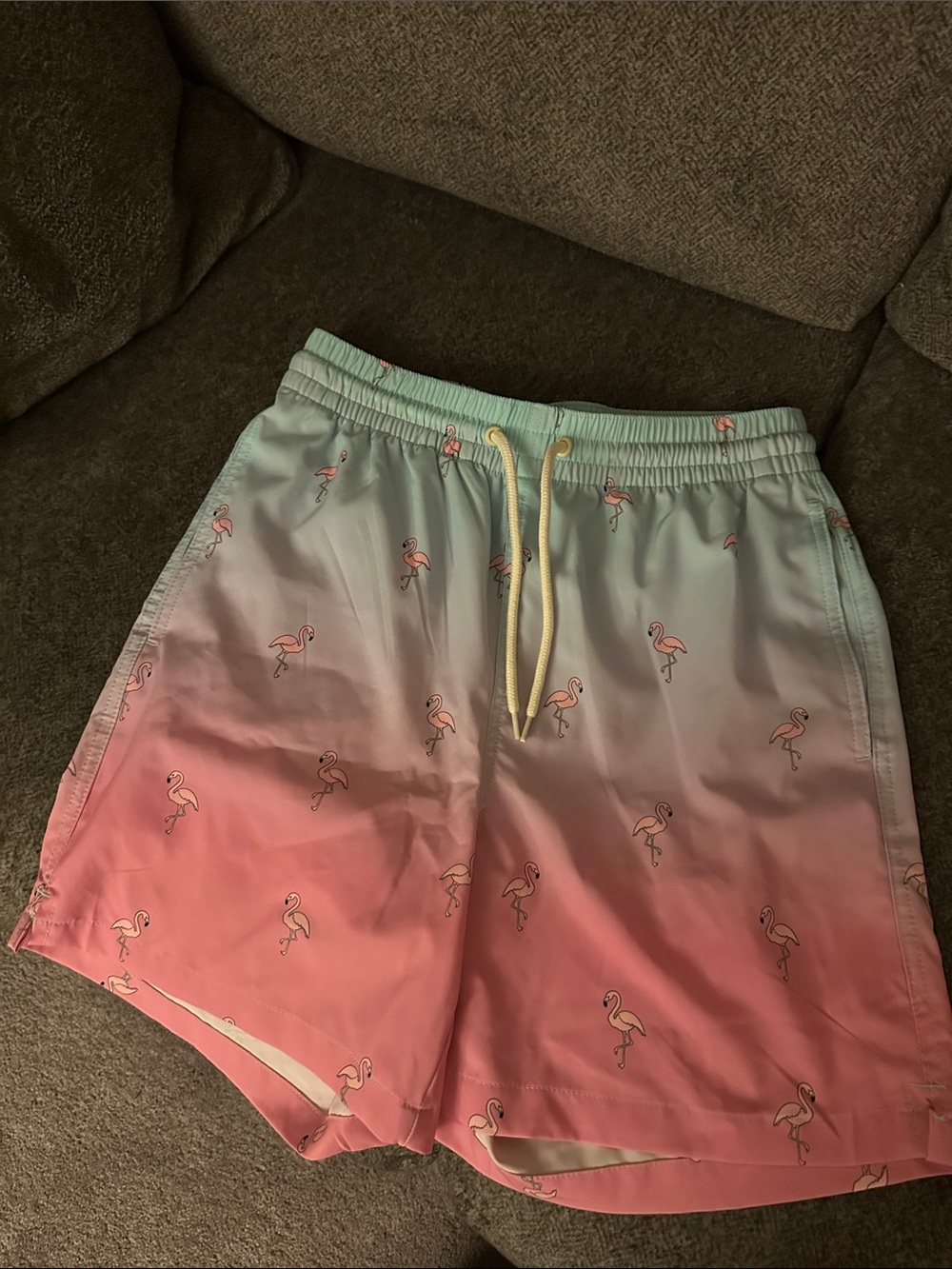 Wave Zone Men's Gradient Pink to Mint Flamingo Swim Trunks